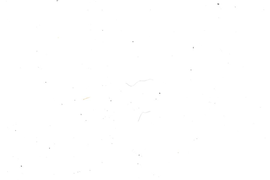 Image 27
